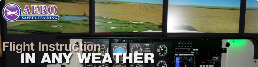 Flight School Redbird Flight Simulator